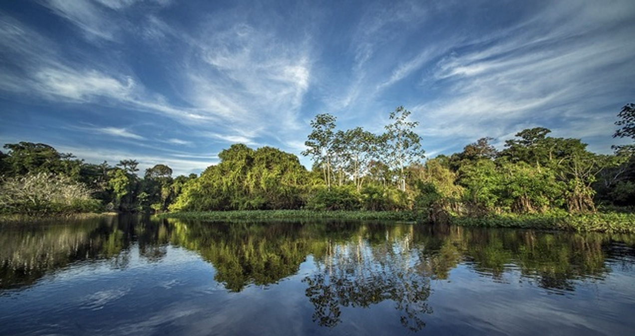 Naturaleza