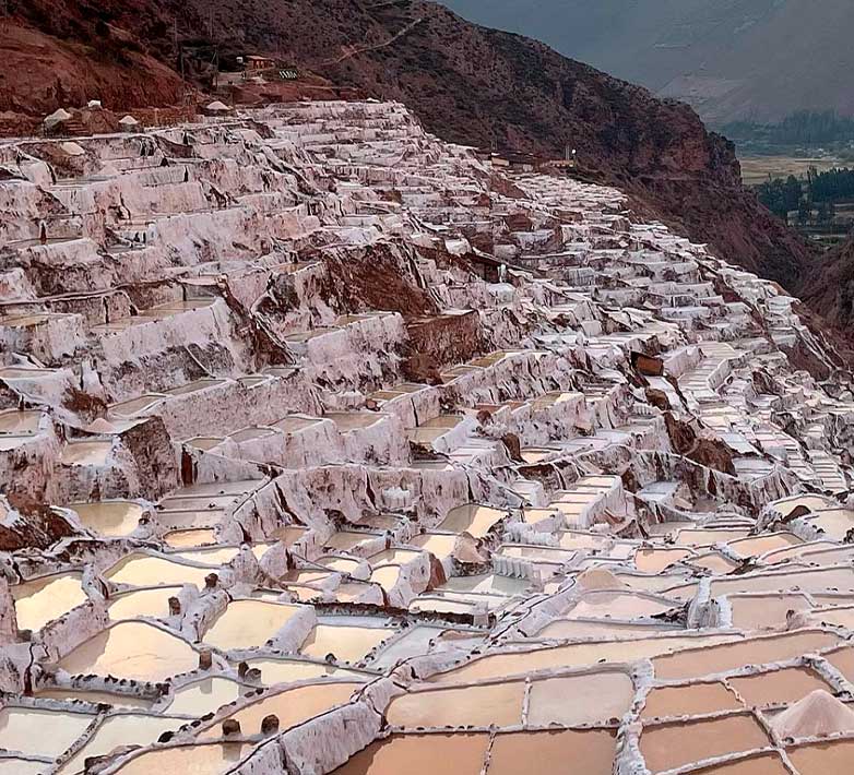 MARAS Y MORAY